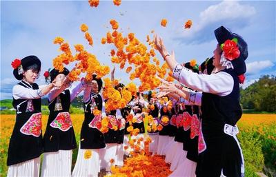 吃菌、赏花、泡温泉，开启南华“菌香风情”之旅！