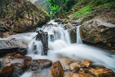 楚雄·西舍路首届哀牢山生态文化旅游节来啦！