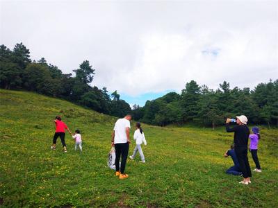 遁入白竹山森林秘境，开启绿野仙踪之旅！