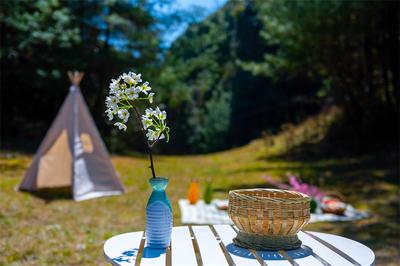 遁入白竹山森林秘境，开启绿野仙踪之旅！