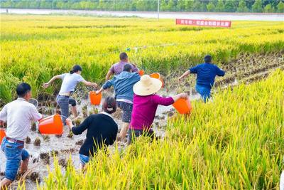 国庆·遇见楚雄 | 州内游也精彩！好玩齐全的出游攻略请查收