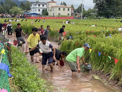 楚雄姚安：假日乡村游  光禄“鱼”你相遇