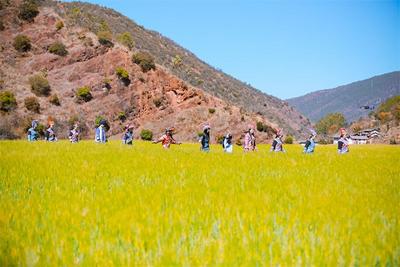 国庆·遇见楚雄 | 美丽乡村游，看丰收美景，享田园之乐！