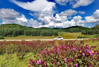 美景上新！楚雄3条初秋自驾游线路，挑一条9月出发！