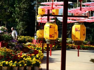 60元无限次畅玩！武定狮子山景区旅游年票来了
