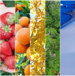 湖蓝、叶黄、果缤纷……遇见楚雄彩色的冬天！