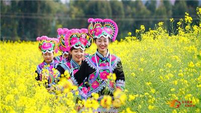 小雪已至，万物冬藏，来楚雄感受暖冬！