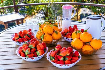 打卡“阳光城”永仁，开启甜蜜暖冬之旅！