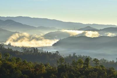 冬日清晨的南华凤山湖，云雾缥缈恍若仙境！