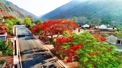 暖冬风情游！中国·双柏2023年查姆文化节来了