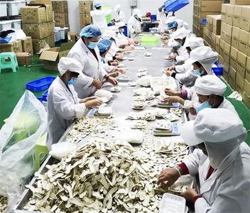 楚雄南华：“互联网+绿色食品”助力乡村振兴