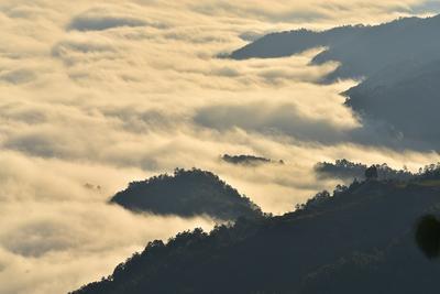 美！晨雾缭绕中的南华五街宛如仙境