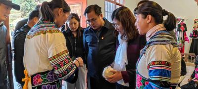 ​南华县沙桥镇石桥河村：党建引领绘就乡村振兴多彩画卷