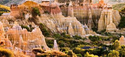 收藏！元谋土林2023年景区门票及优惠政策出炉