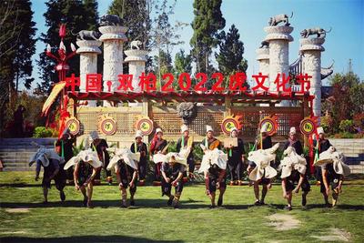 喜讯！楚雄州这个项目公布为云南省公共文化服务高质量发展典型案例