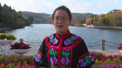 视频 | 双柏县文旅局长邀您探寻“中国虎文化之乡 绿孔雀家园”