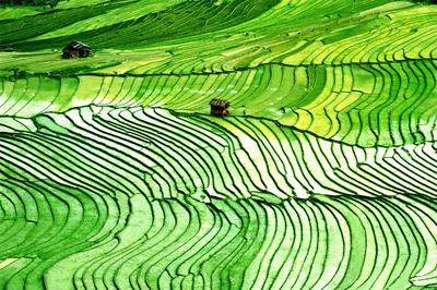 有一种叫云南的生活 | 五月必打卡的楚雄美景在这里