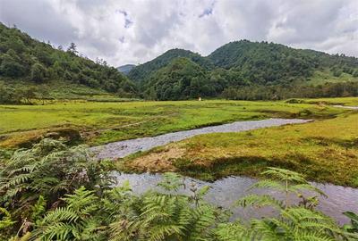 清凉游线大放送！楚雄三条绝美路线带你逃离酷暑