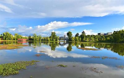 风景如画！夏日休闲，来南华两旗海湿地公园逛逛吧