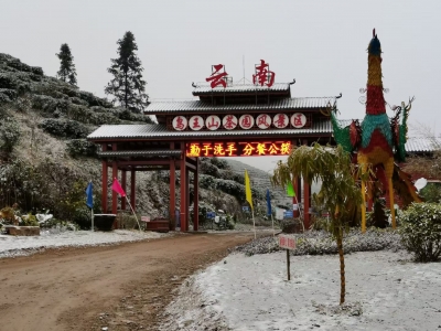 2021的雪落在富宁鸟王山