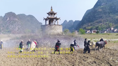一年一度“弄娅歪” 