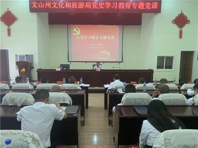 学党史 悟思想 办实事 开新局——文山州文旅局开展党史学习教育专题党课