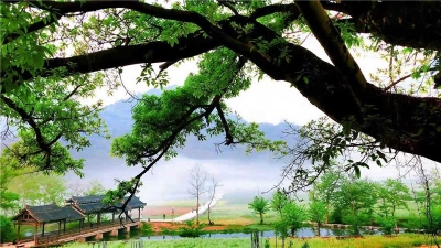 招商引资推介 文山在水墨姑苏展开一副喀斯特山水田园画卷