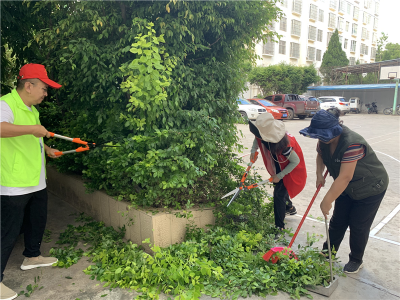 文山州文旅局狠抓问题整改，以强有力的措施推进创建国家卫生城市工作