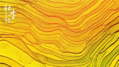 跨省游开放 文山流金岁月等你！