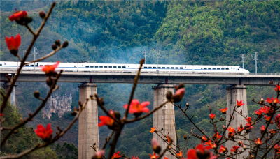 坐高铁游文山 景区优惠大放送