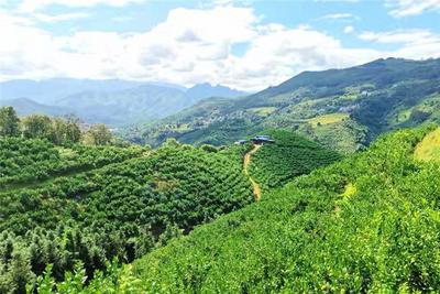 立冬 来文山避寒