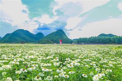 文山州11家景区获批国家3A级旅游景区