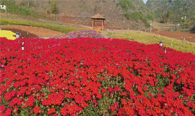 文山州11家景区获批国家3A级旅游景区