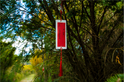 山水普者黑 汉服春节游