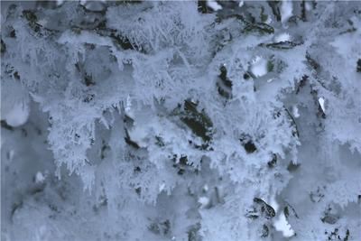 2022.2.22 在舍得 今日同沐雪也算共白头