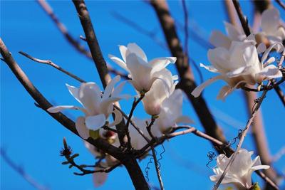 雨水丨觅春寻绿，不负赏花好时节！
