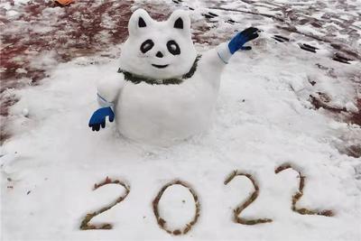 朋友圈堆雪人大赛开始    丘北县文旅局“雪墩墩”颜值最高