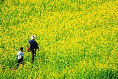 立春 缱绻在文山的草木山川间