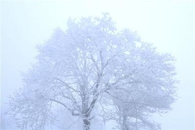 2022.2.22 在舍得 今日同沐雪也算共白头