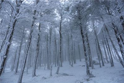 2022.2.22 在舍得 今日同沐雪也算共白头
