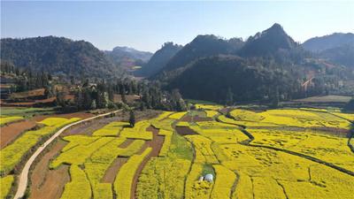 文山三月 人随春好