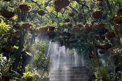 清明假期安全有序 文山接待游客17.49万人次