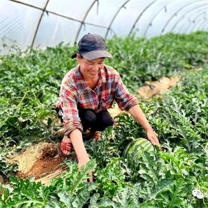 “五一” | 抢“鲜”出发 把假期装进果篮里