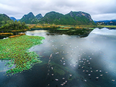 5.19中国旅游日 | “万名导游带您云旅游”  普者黑景区直播活动圆满收官 