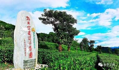 【有一种生活叫大理】“五一”小长假去哪？龙门！这份游玩攻略请查收！