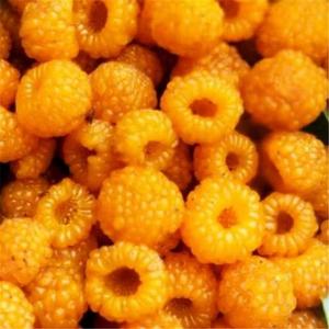 “五一” | 抢“鲜”出发 把假期装进果篮里