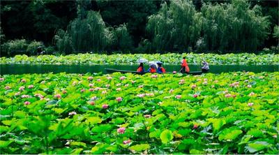 端午小长假平稳有序，文山州接待游客19.31万人次