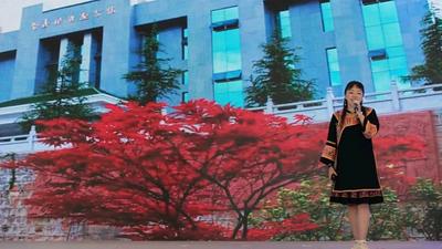 重庆“元宇宙”文旅大会上  “立体”文山成网红