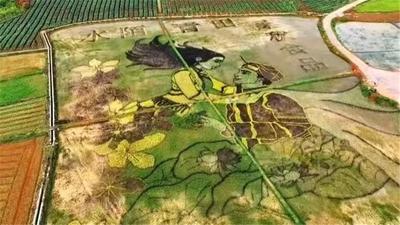 “音”你而来 水陌青田荷花音乐节9日浪漫开启