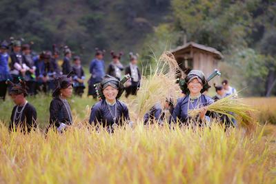 金秋游文山丨走进广南田园牧歌 感受千年非遗魅力